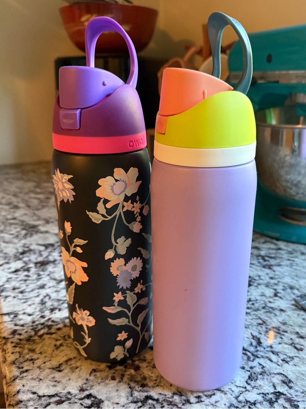 Set of 2 Owala FreeSip 32 oz Insulated Water Bottles